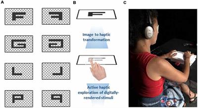 Mental Rotation of Digitally-Rendered Haptic Objects